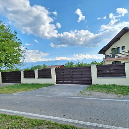 Pensiunea Daria Hateg Exterior photo