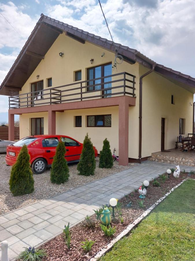 Pensiunea Daria Hateg Exterior photo