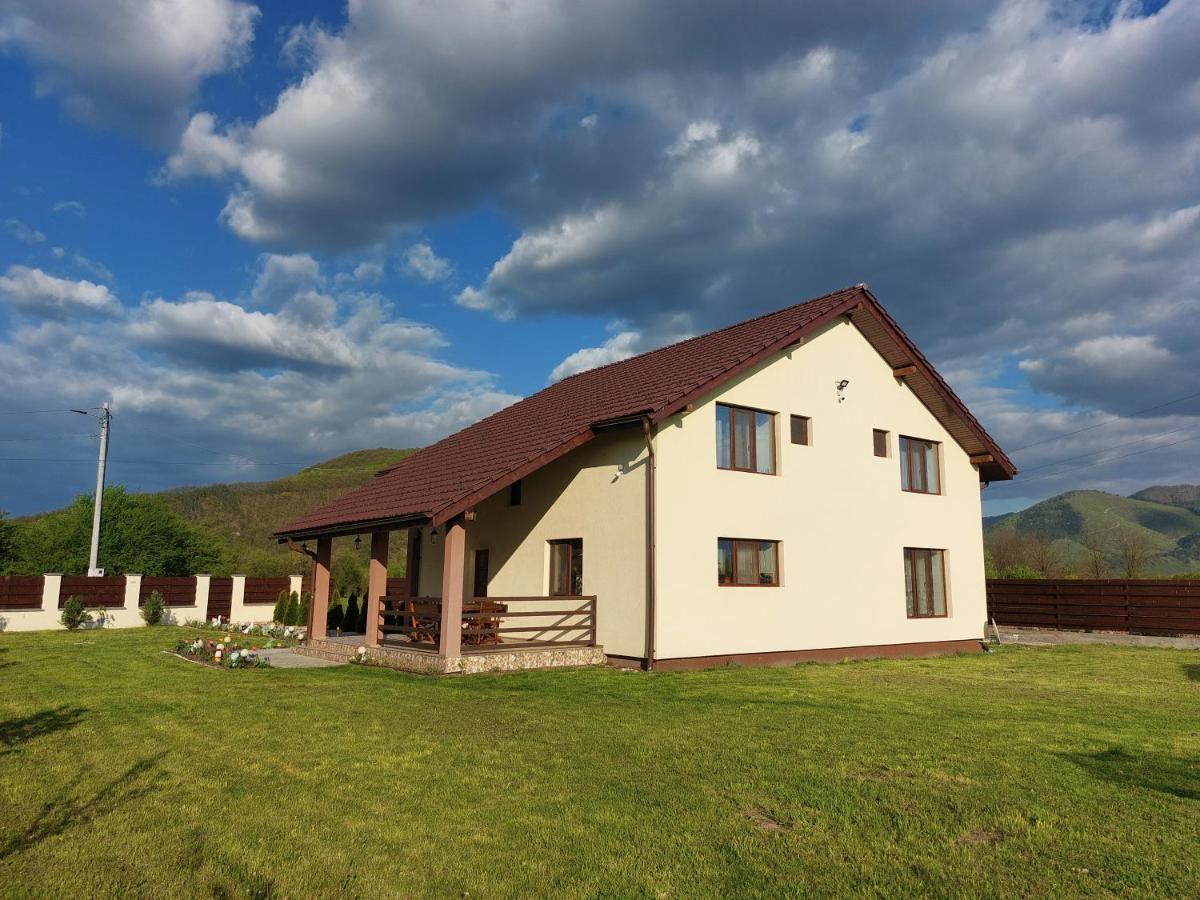 Pensiunea Daria Hateg Exterior photo